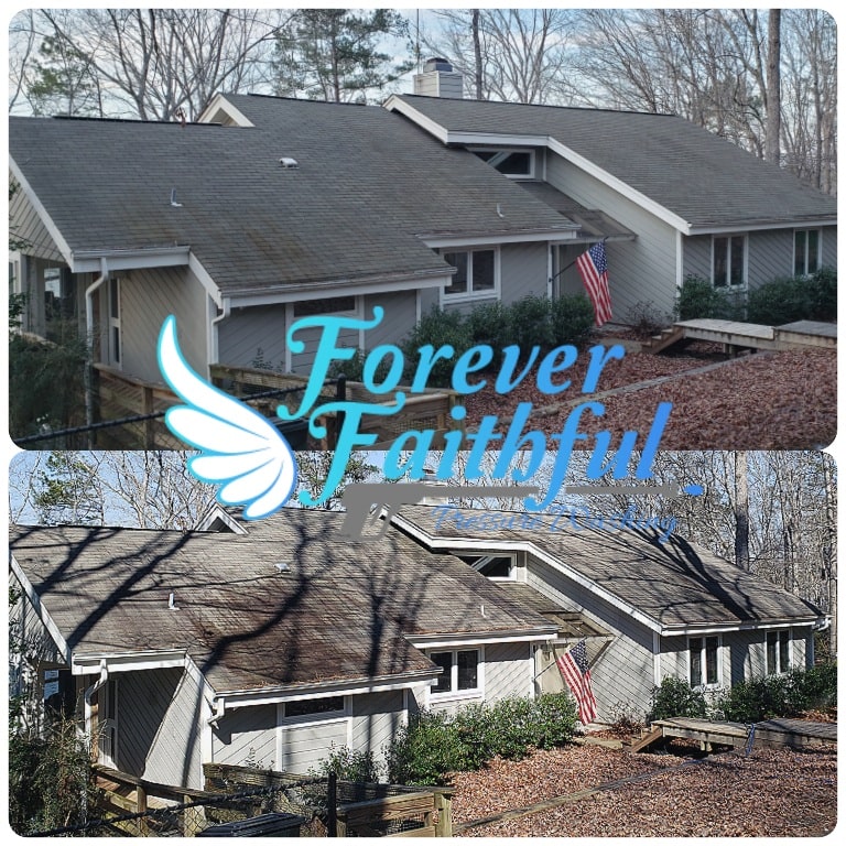 Roof cleaning hamilton ga