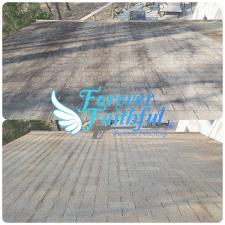 Roof Cleaning in Hamilton, GA 2